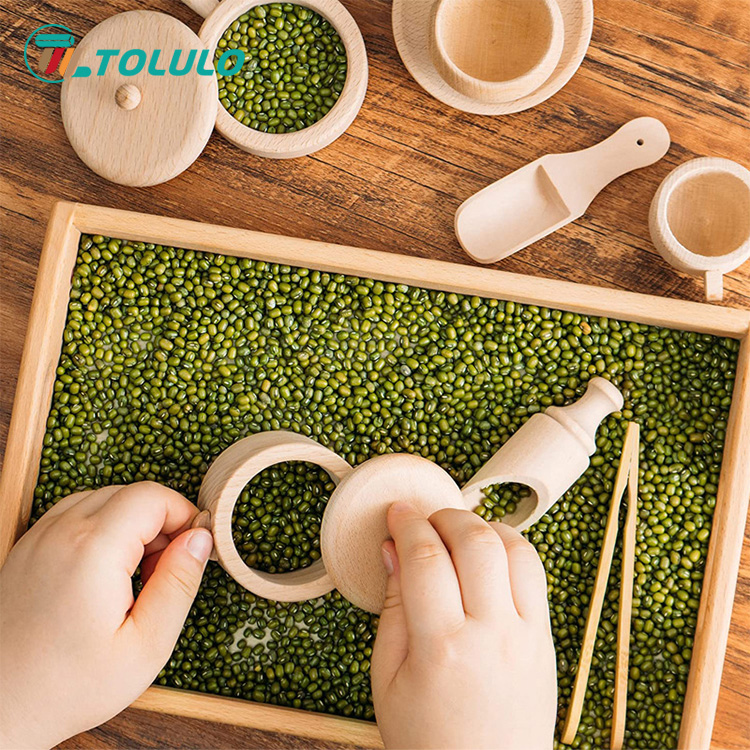 Tolulo Montessori Təhsil Oyuncaqları haqqında nə qədər məlumatınız var?